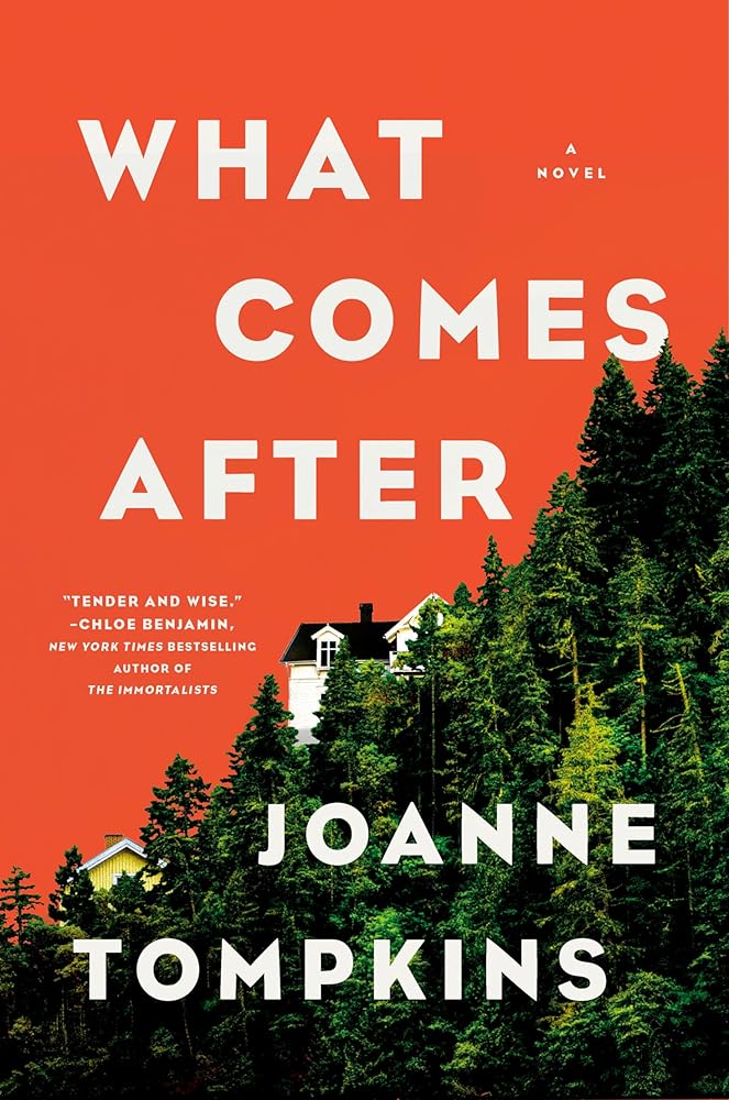 What Comes After: A Novel cover image
