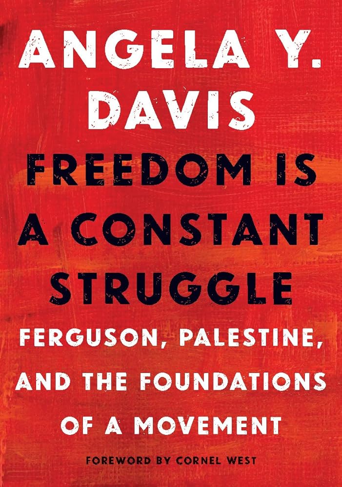 Freedom Is a Constant Struggle: Ferguson, Palestine, and the Foundations of a Movement cover image