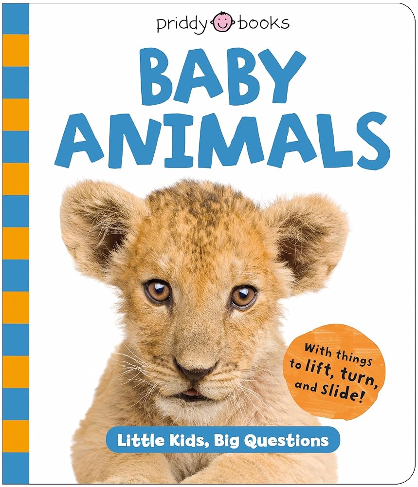 Baby Animals (Little Kids, Big Questions) cover image