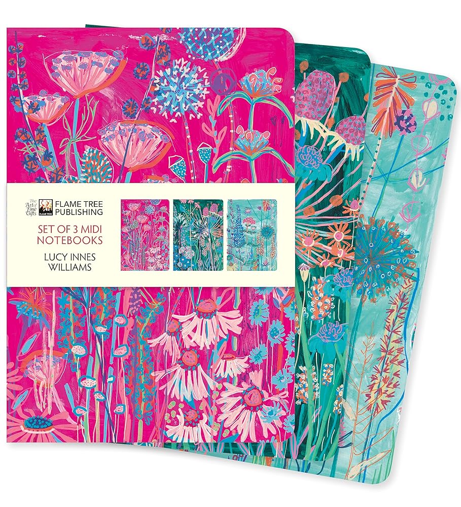 Lucy Innes Williams Set of 3 Midi Notebooks (Midi Notebook Collections) cover image