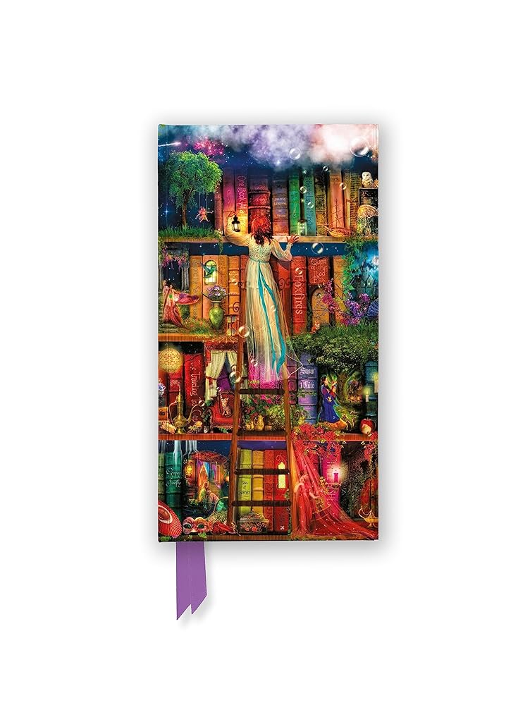 Aimee Stewart: Treasure Hunt Bookshelves (Foiled Slimline Journal) (Flame Tree Slimline Journals) cover image