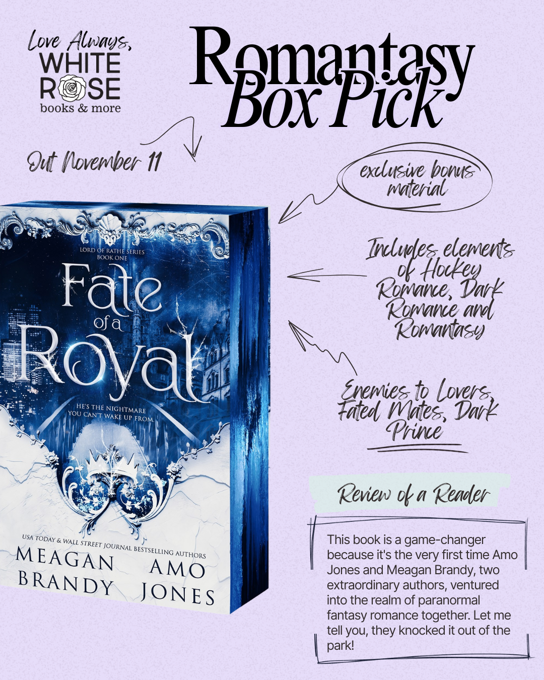 Romantasy Subscription Box: November Selection: The Seventh Champion by Sylvia Mercedes
