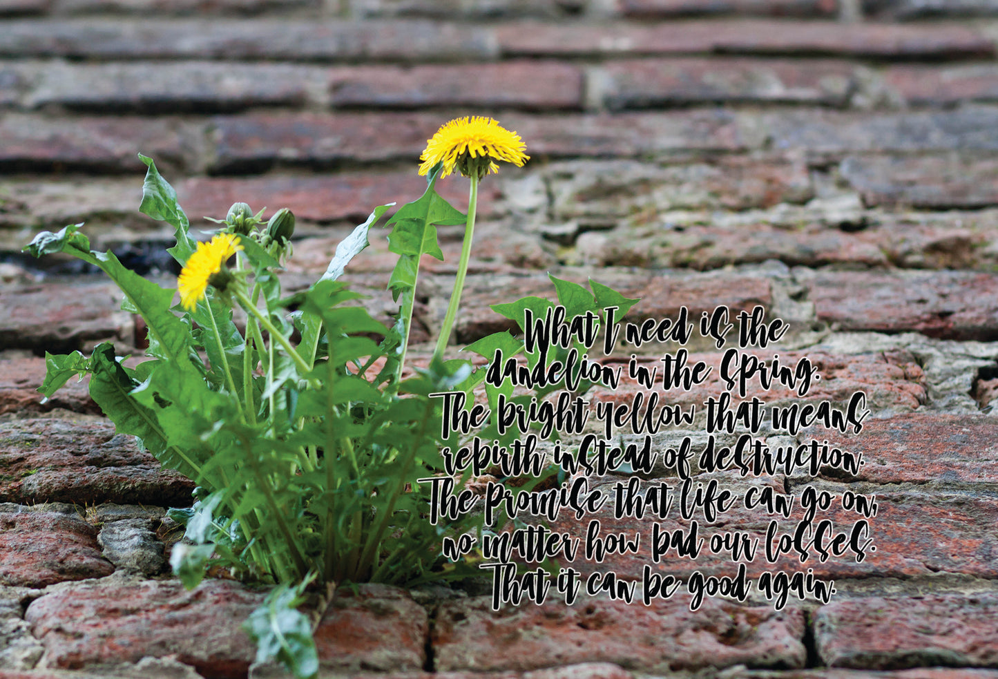 The Hunger Games Spring 4x6 Print