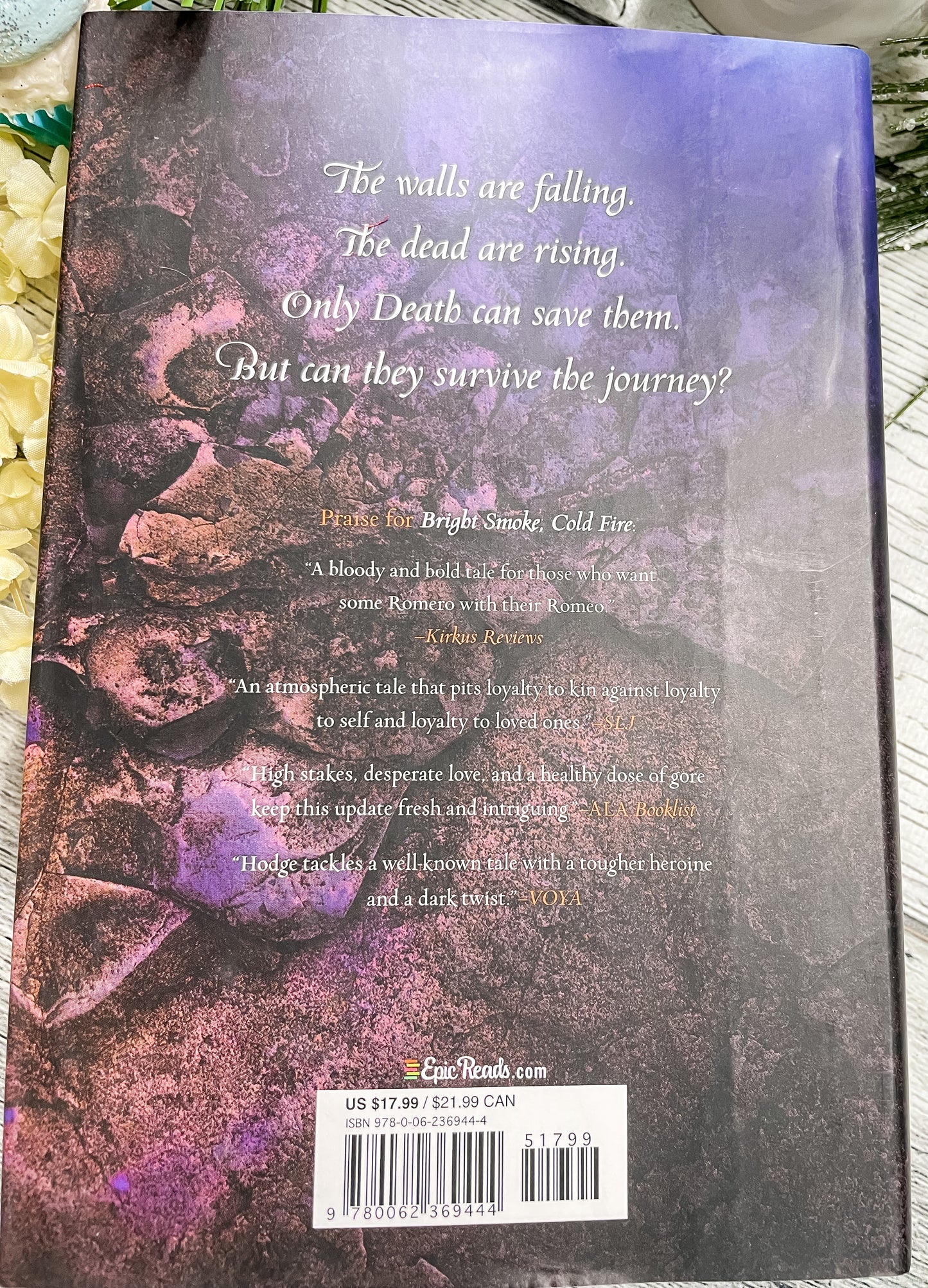Endless Water, Starless Sky by Rosamund Hodge