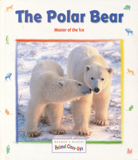 The Polar Bear, Master of the Ice by Valerie Tracqui