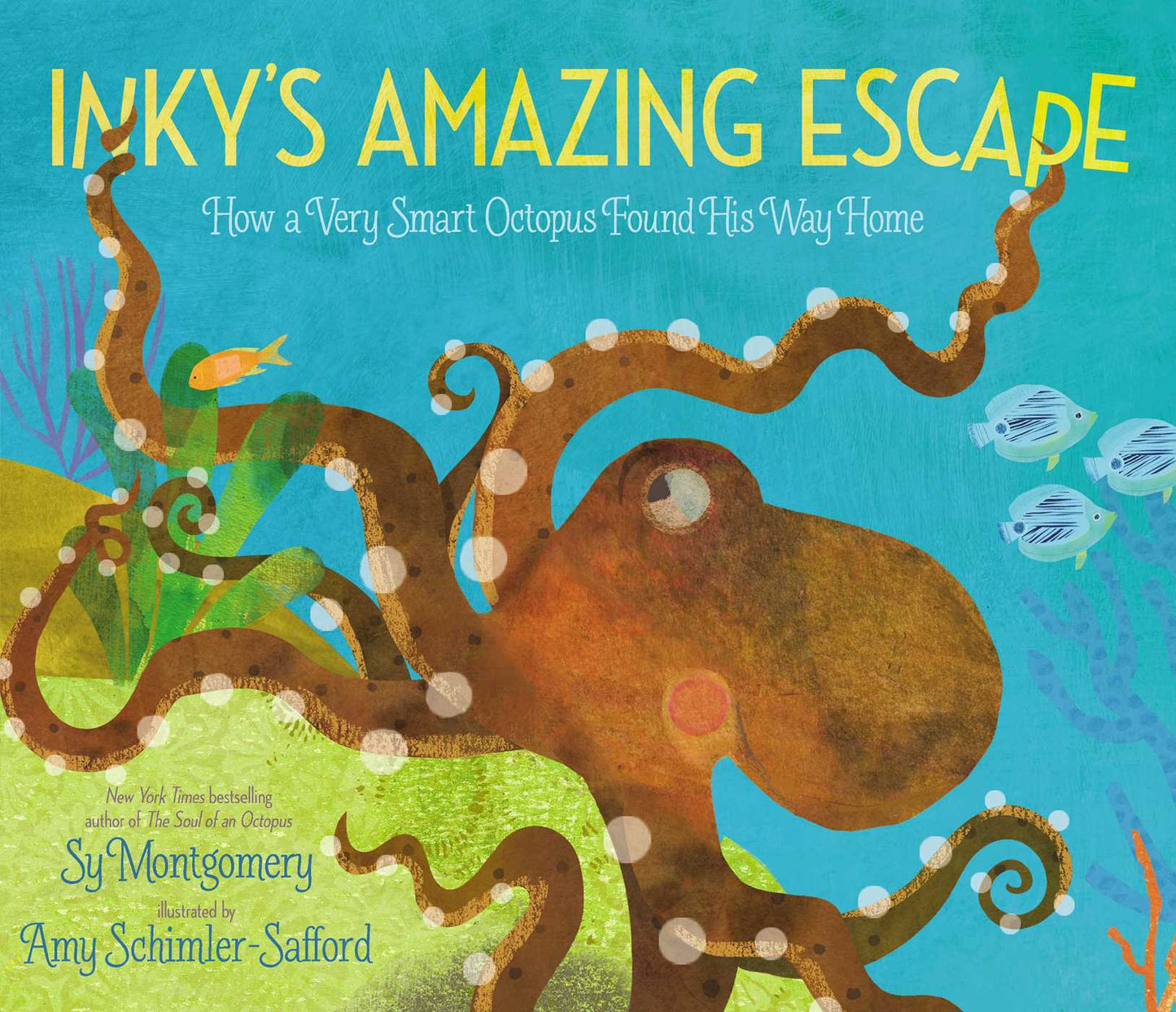 Inky's Amazing Escape: How a Very Smart Octopus Found His Way Home by Sy Montgomery and Amy Schimler-Safford