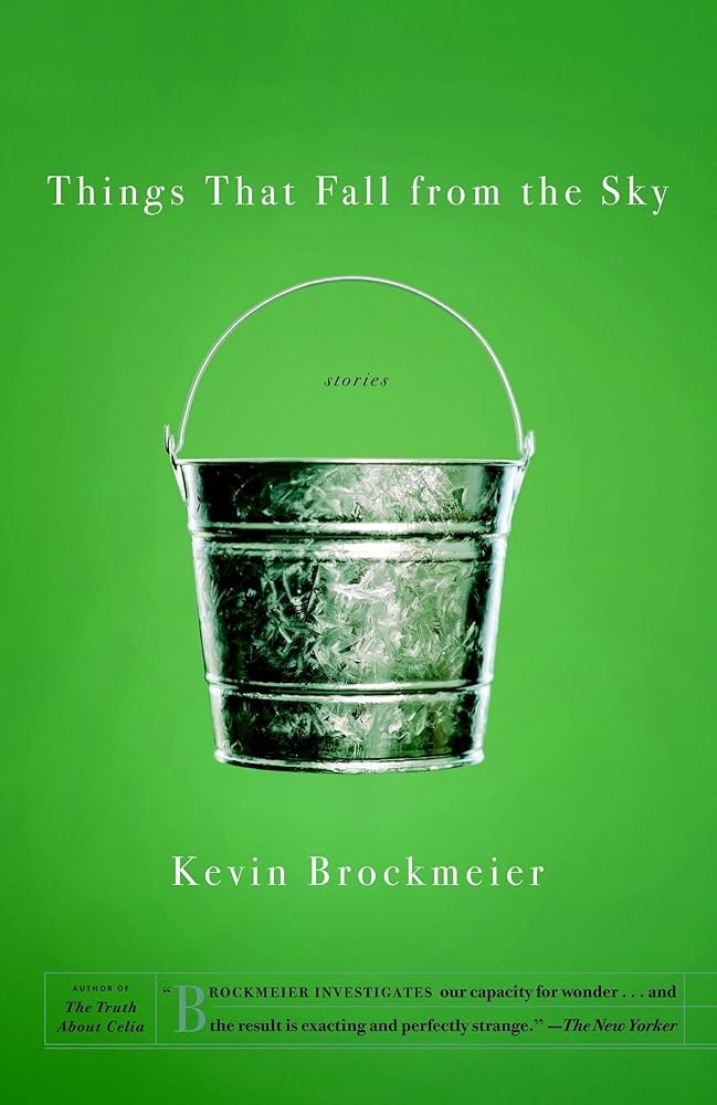 Things that Fall from the Sky cover image