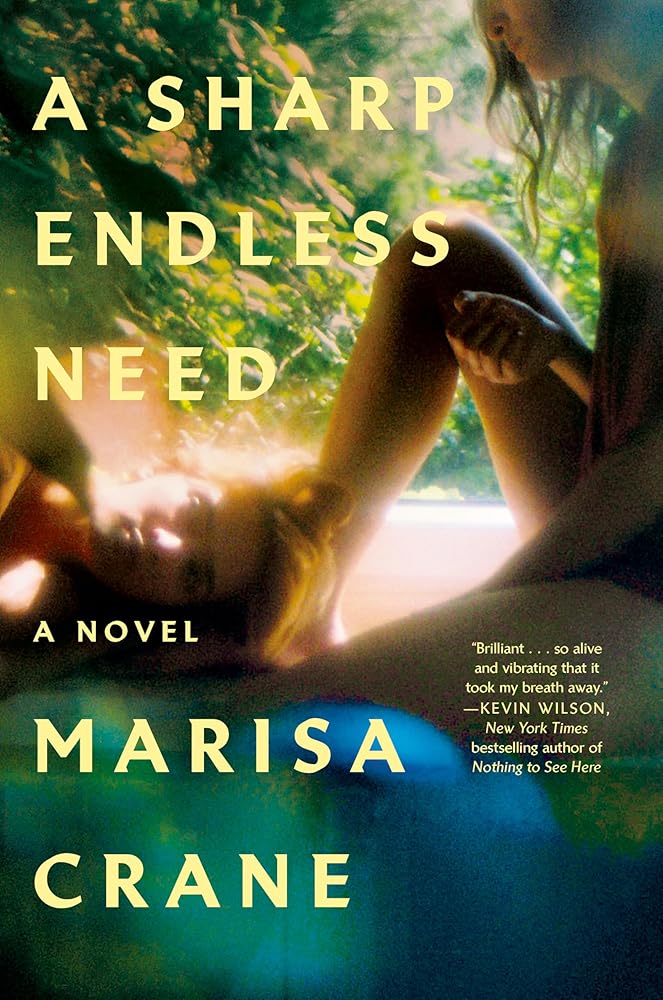 A Sharp Endless Need: A Novel cover image