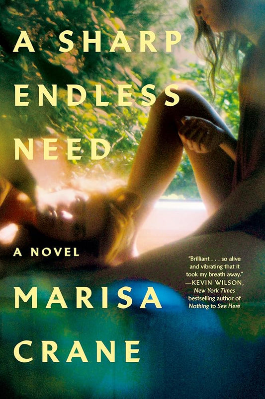 A Sharp Endless Need: A Novel cover image