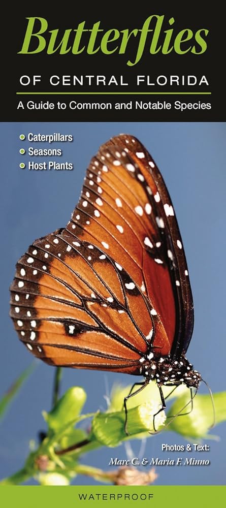 Butterflies of Central Florida: A Guide to Common & Notable Species cover image