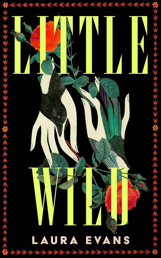 Little Wild cover image