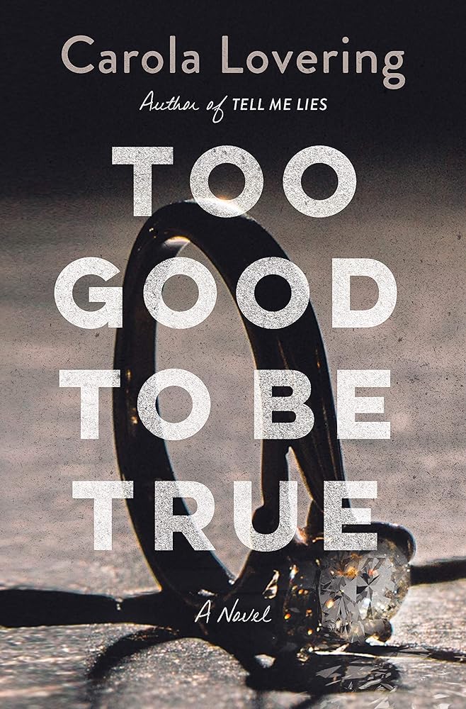 Too Good to Be True: A Novel cover image