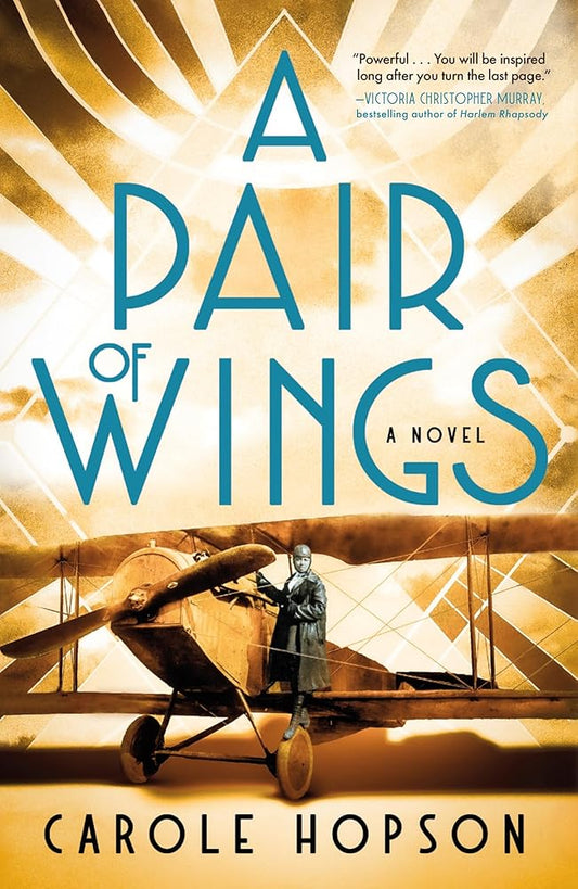 A Pair of Wings cover image