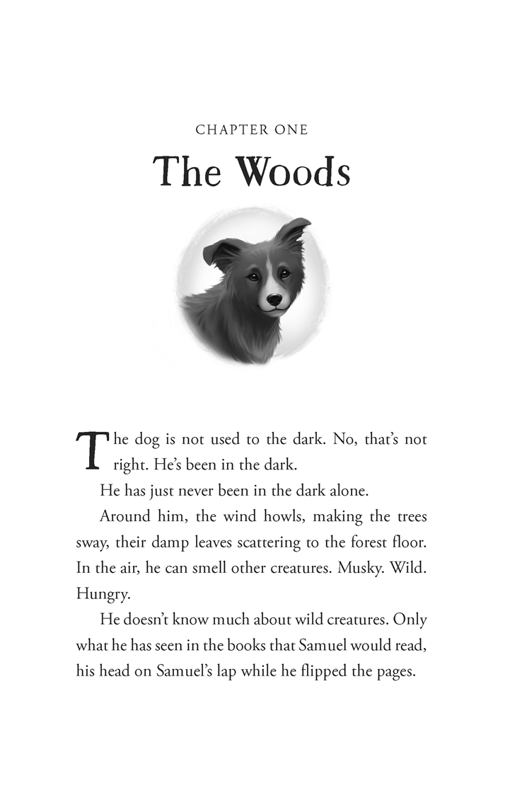 PRE-ORDER: The Unlikely Tale of Chase and Finnegan by Jasmine Warga (SIGNED)