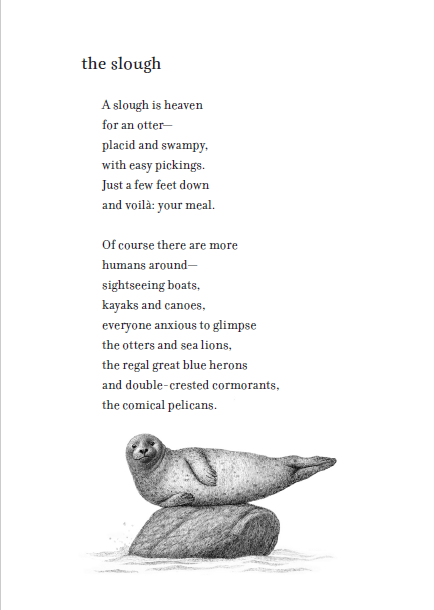 Middle Grade Book Subscription Box: April Selection: Odder & Elliot and the Goblin War