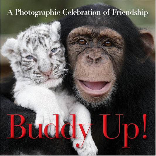 Buddy Up! cover image