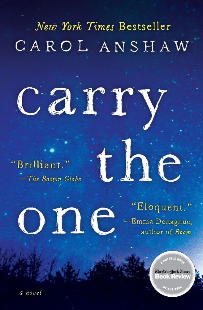 Carry the One: A Novel cover image