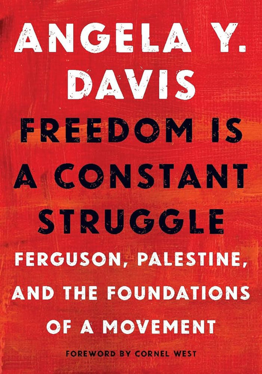 Freedom Is a Constant Struggle: Ferguson, Palestine, and the Foundations of a Movement cover image