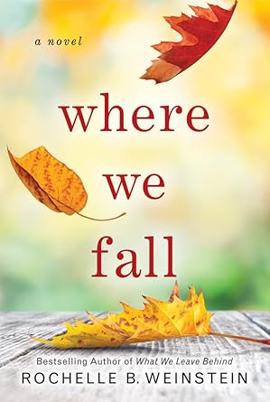 Where We Fall: A Novel cover image