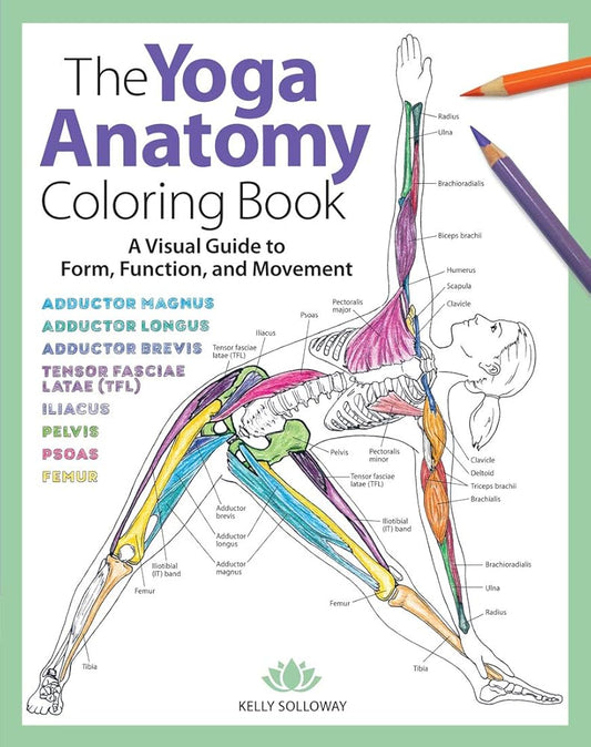 Yoga Anatomy Coloring Book: A Visual Guide to Form, Function, and Movement - An Educational Anatomy Coloring Book for Medical Students, Yoga ... & Adults (Volume 1) (Anatomy Coloring Books) cover image
