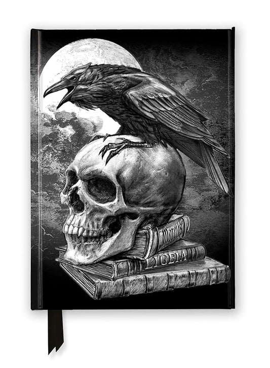 Alchemy: Poe's Raven (Foiled Journal) (Flame Tree Notebooks) cover image