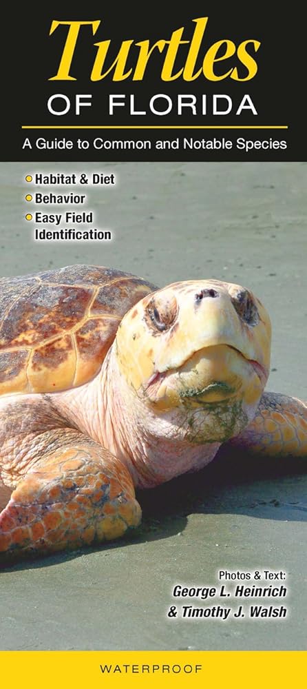 Turtles of Florida: A Guide to Common & Notable Species (Quick Reference Guides) cover image