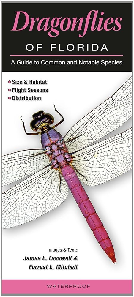Dragonflies of Florida: A Guide to Common & Notable Species cover image