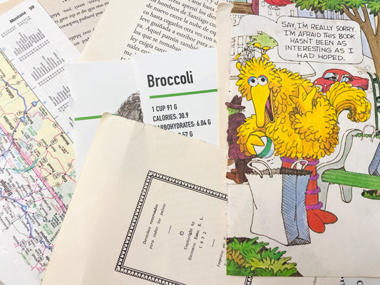 Ephemera - Book Pages for Crafting and Junk Journaling - Recycled Book Pages