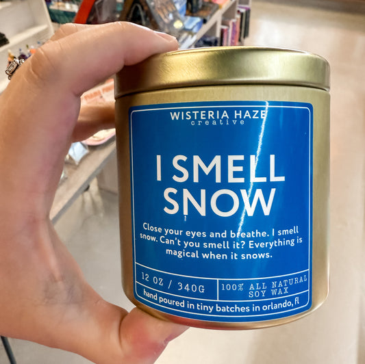 Wisteria Haze: I Smell Snow 12 Oz Candle