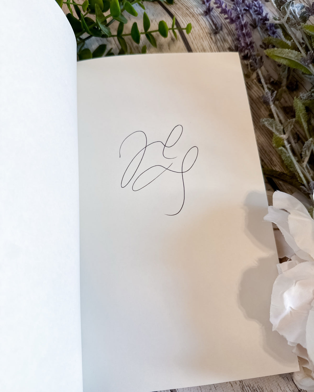 The Knave and the Moon (The Stonewater Kingdom, 2) by Rachel Gillig (SIGNED COPIES)